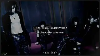 D’espairsRay - Marry of the Blood | Sub Español + Romaji 