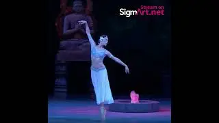 LA BAYAD&Eacute;RE by Mariinsky Orchestra & Ballet