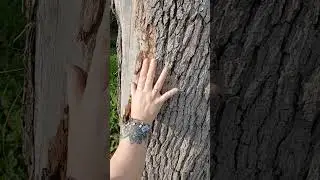 Intimate Nature ASMR Slow, Gentle Touch