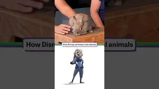 Как Disney оживляет настоящих животных #Zootopia2