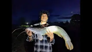 The Adventure of Moonlight Night Fishing 🌙🎣 | Silent River, Wild Catch #fishing #fishingadventure