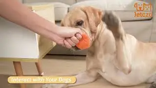 Jetczo Snuffle Mat for Dogs