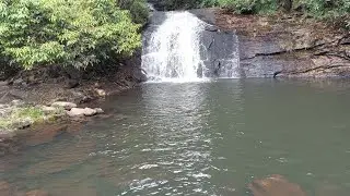 Vende-se um sítio diamante zona rural de União dos Palmares Alagoas 4 hectares $400.000 
