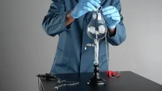 Gas discharge lamp (beetle)