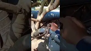 CARA IKAT TALI YANG BENAR SEPERTI INI