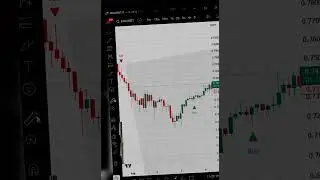 The Power of Real-Time Signals #crypto #tradingview #trading #forex #indicators #bitcoin