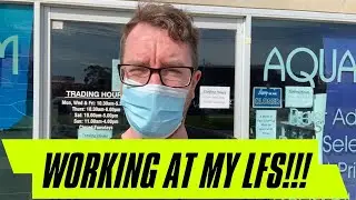 Working at my local fish shop!!!!