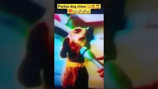 #pets #dog #doglife #doglove #food #trending #viral #youtubeshorts #fun #funny #entertainment
