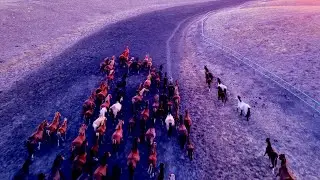 Aho, aho copii şi fraţi - Ritualic Edition