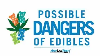 KEZI ABC Eugene Interview with Adam Bratland of Any Lab Test Now
