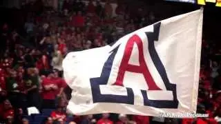 Arizona Wildcats Gotta be Fresh