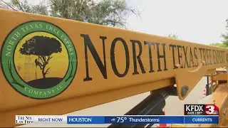 Drought leaves tree service companies high and dry