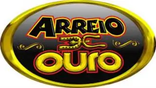 Arreio De Ouro Canta Vaquejada   Filho Sem Sorte