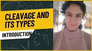 cleavage and its types