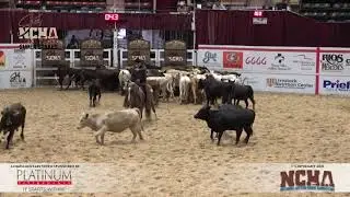 METALLIC MOCHA shown by GREG DELONG   2021 NCHA Super Stakes 6 7 Ltd  Am, Finals