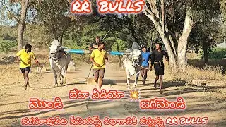 RR BULLS సీనియర్స్ బుల్స్ || బేటా (మొండి💥 జగమెండి) తురకపల్లి గ్రామం మేడ్చల్ మల్కాజ్గిరి జిల్లా 🌿🌿