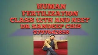HUMAN FERTILIZATION/ REPRODUCTION/ CLASS 12TH AND NEET BIOLOGY / DR SANDEEP CHIB / 9797642858.