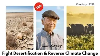 Fight Desertification & Reverse Climate Change - by Allan Savory. TED Talk series...MUST WATCH VIDEO