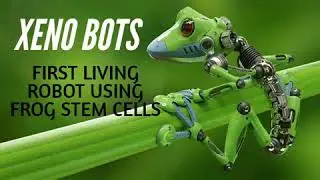 Career guidance - World's first living machine using frog stem cells and AI- XENO BOTS