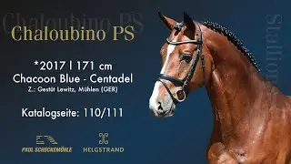 Chaloubino PS