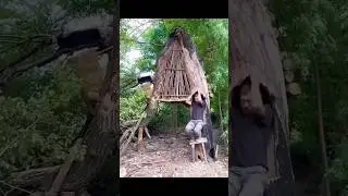 Building a shelter Survival in jungle #fyp #solotravel #soloadventure #camping #shortfilm