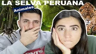 TENEIS QUE VER ESTO😱│PERU