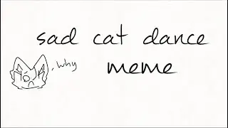 sad cat dance :(