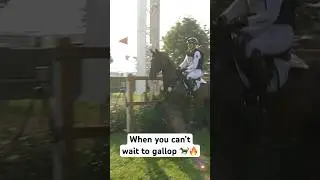 When your horse can&rsquo;t wait to gallop 🐎🔥 #eventing #chioaachen #eventinghorse