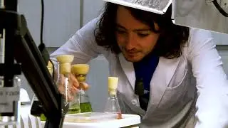 UF/IFAS Innovative Solutions: 2024 Research Awards