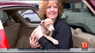 Mail carrier's quick-thinking gains her a new family member