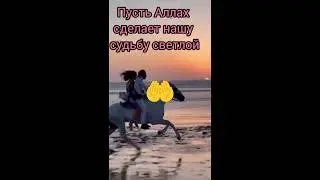 #dua #любовь #top #remix #божья #счастье #цитатыпрожизнь #дуэт #recipe #rap #relatable