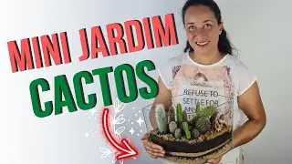 Mini Jardim de Cactos no Vidro - Passo a Passo com Pre&ccedil;o de Custo