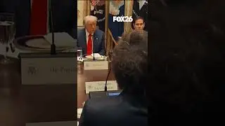 Argentine President Javier Milei thanks President Trump for inviting him to the White House