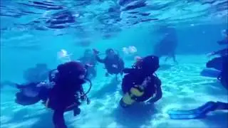 Bubble-Maker, PADI courses, Diving Child, Learn Dive, child equipment