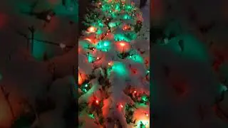 It's snowing! Red and green lights in the snow.