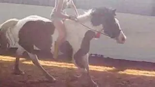 bareback canter