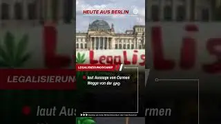 Legalisierungs NEWS  - Neues vom Protestcamp in Berlin