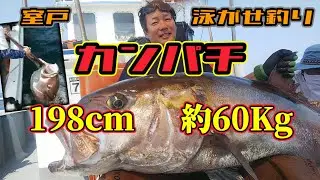 カンパチ 198cm  室戸泳がせ釣り  愛海丸 2021/07/14