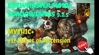 WoW Shadowlands 9.2.5 I +21 Spires of Ascension I Brew Monk one button macro