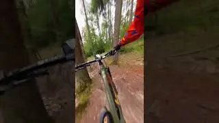 Found the Flow - Flowtrail Bad Orb 2024 -Wintersberg Trail #insta360 #mtb