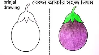 how to draw brinjal easy l brinjal drawing easy colour l brinjal drawing l বেগুন আঁকা 