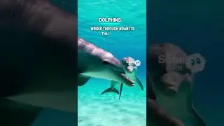 An octopus can squeeze through a hole the size of a penny