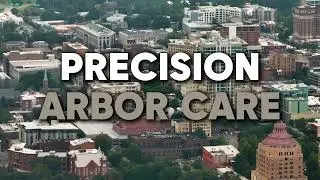 Precision Arbor Care