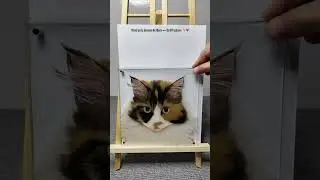 DIY Cat Pillow | Would You Cuddle This With Your Kitty? 🐱💖