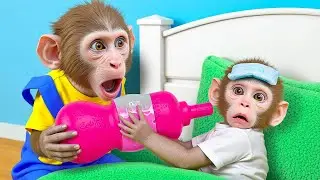Bibi Monkey Pretend Good Brother Take Care of Little Baby by Milk Bottle | Baby Monkey Daily