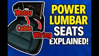 Power Lumbar Seats EXPLAINED!  How They Work