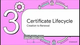 Понимание SSL/TLS-сертификатов: защита данных в современных веб-системах | Uplatz