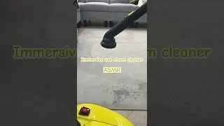 Review the steam cleaner #costway #review #asmr #cleaner