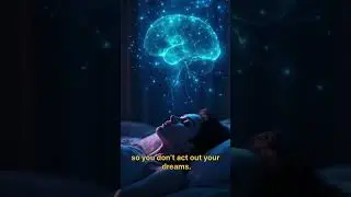 Your body shuts down at night 😳 #shorts #facts #sleep #humanbody #brain #wowfacts #science