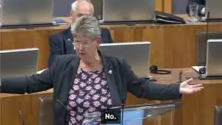 Senedd member attacks white men